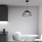 Asymmetrical-Cage-Hanging-Lamp